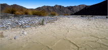 Le Terre Desolate - il deserto